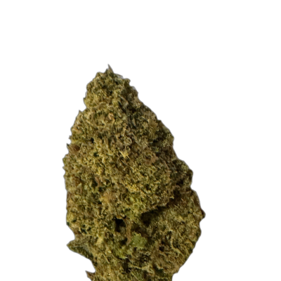 Herbasana Medellin Midnight 22:01 El Patron