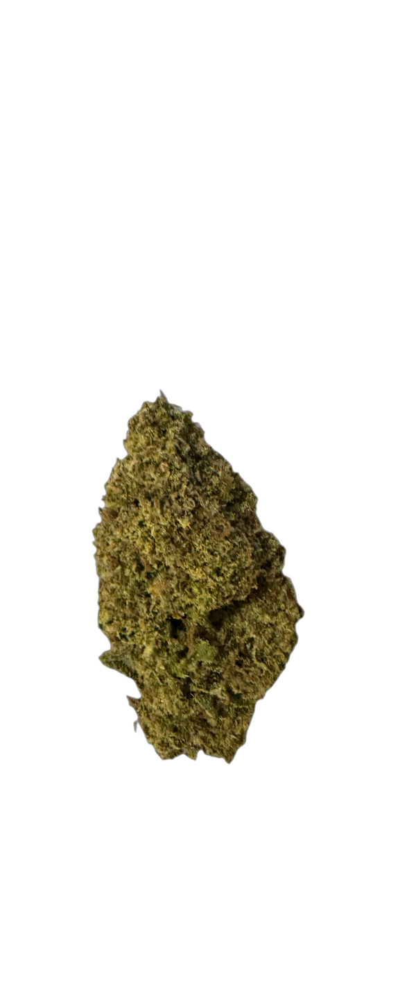 Herbasana Medellin Midnight 22:01 El Patron