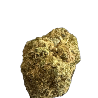 31/1 Amici WC Wedding Cake