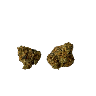 Remexian 27/1 PGF GLN Gelonade