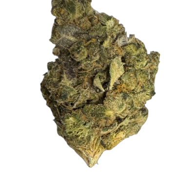 Siggis PMNZ 28:01 Siggis Pfefferminze