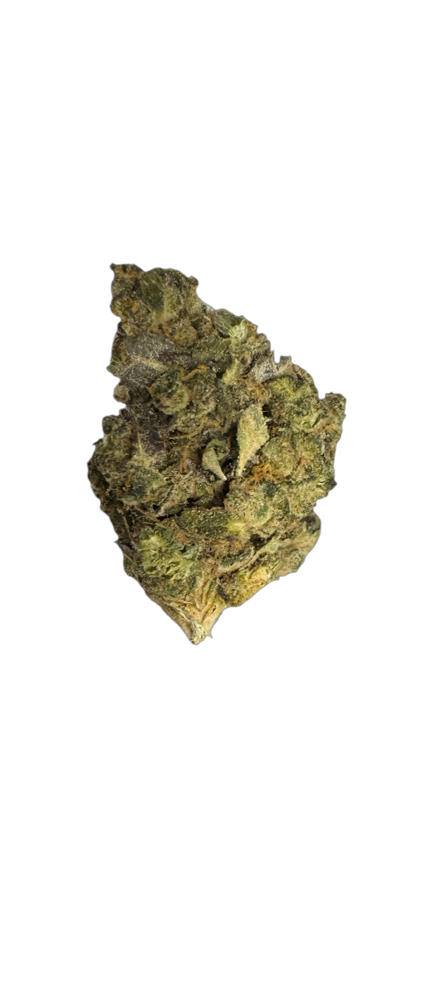 Siggis PMNZ 28:01 Siggis Pfefferminze