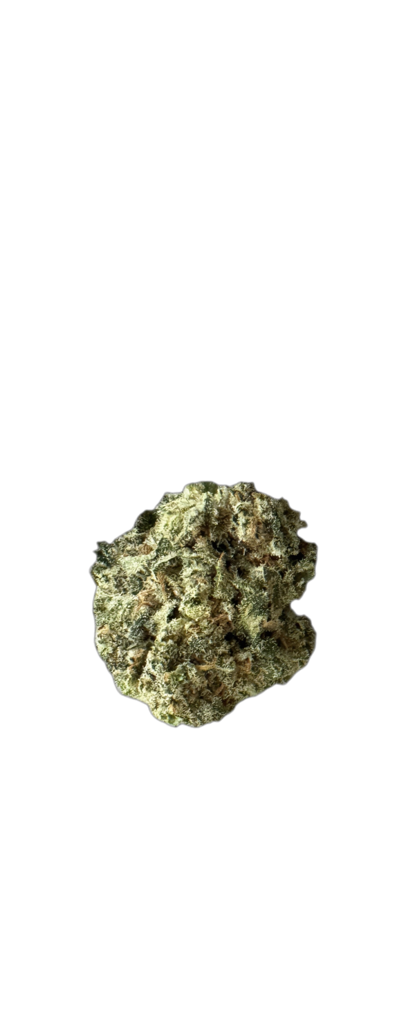 Siggis ZBLT 28:01 Siggis Zitronenblüte