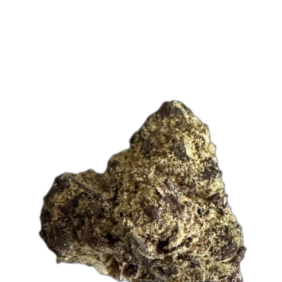 Vasco PR PT Pave Runtz