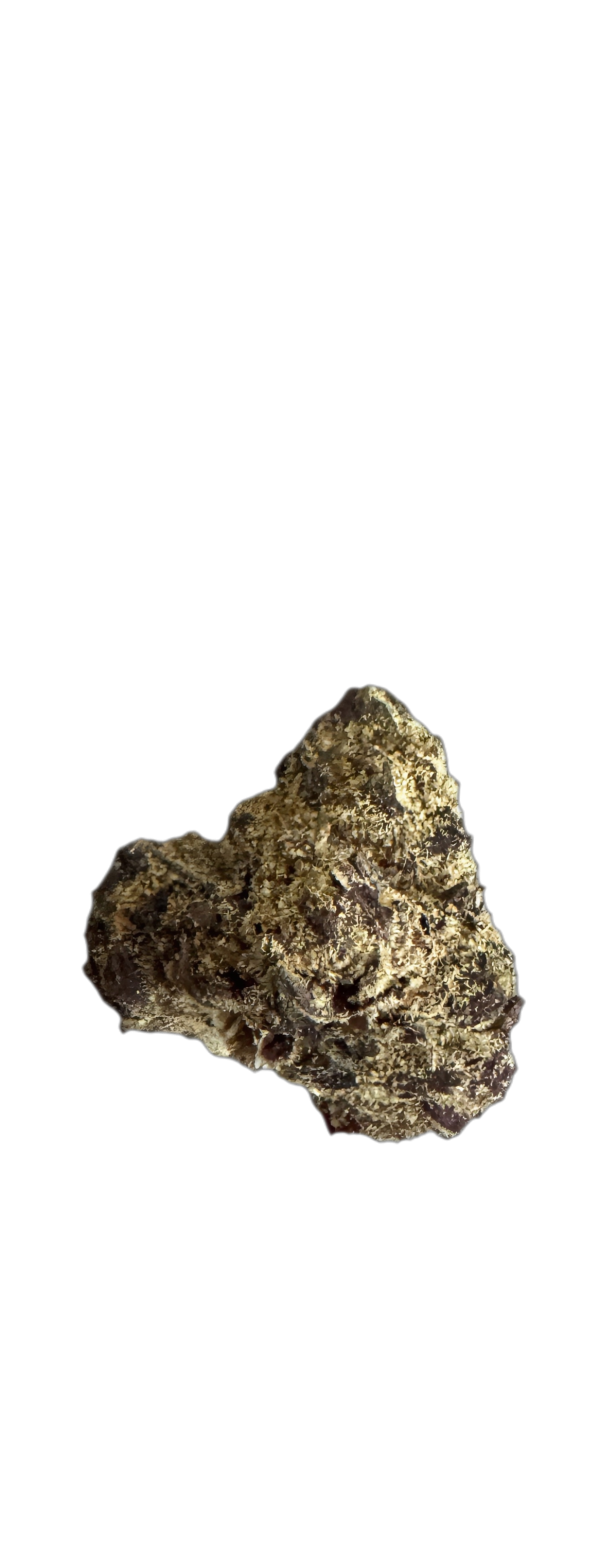 Vasco PR PT Pave Runtz