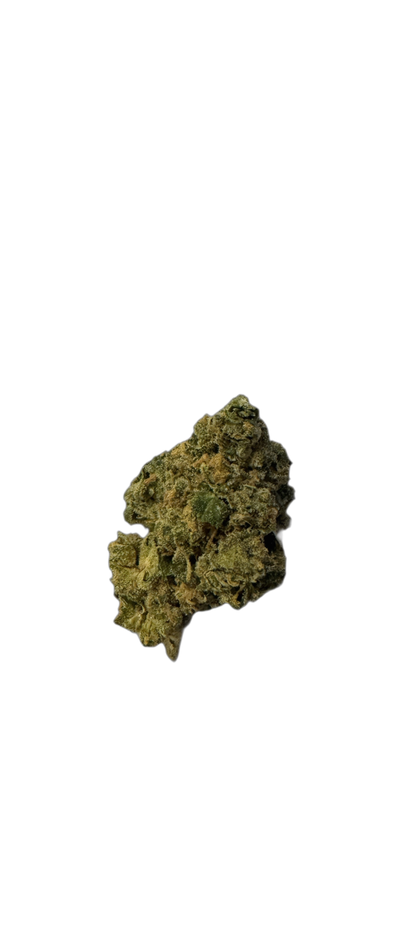 Medical Saints 18/1 ICC Ice Cream Cake