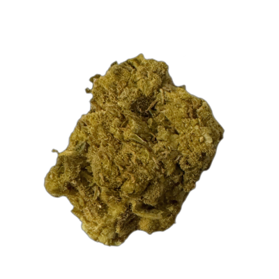 NICE 26/1 PJ Platinum Jack