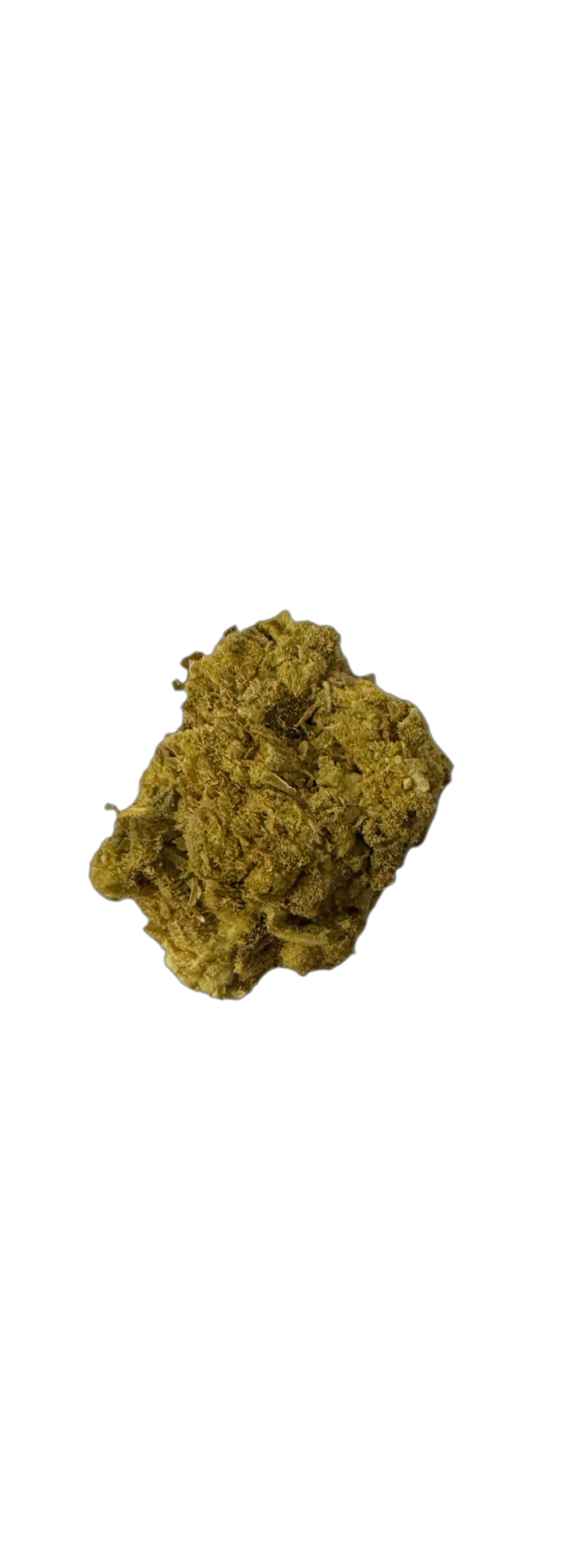 NICE 26/1 PJ Platinum Jack