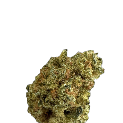 NEDCANN VM 22/01 Red Skunk Haze