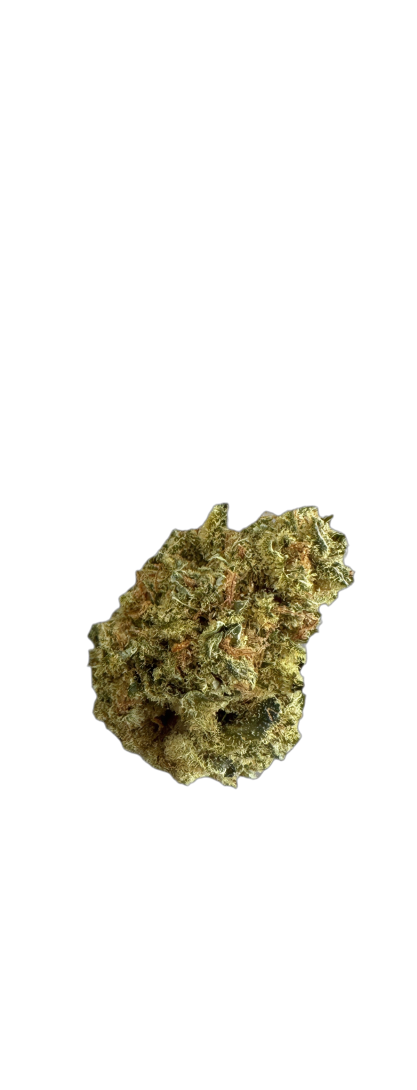 NEDCANN VM 22/01 Red Skunk Haze