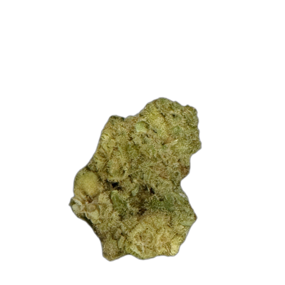 BUUO 23/1 BV Boom Voyage