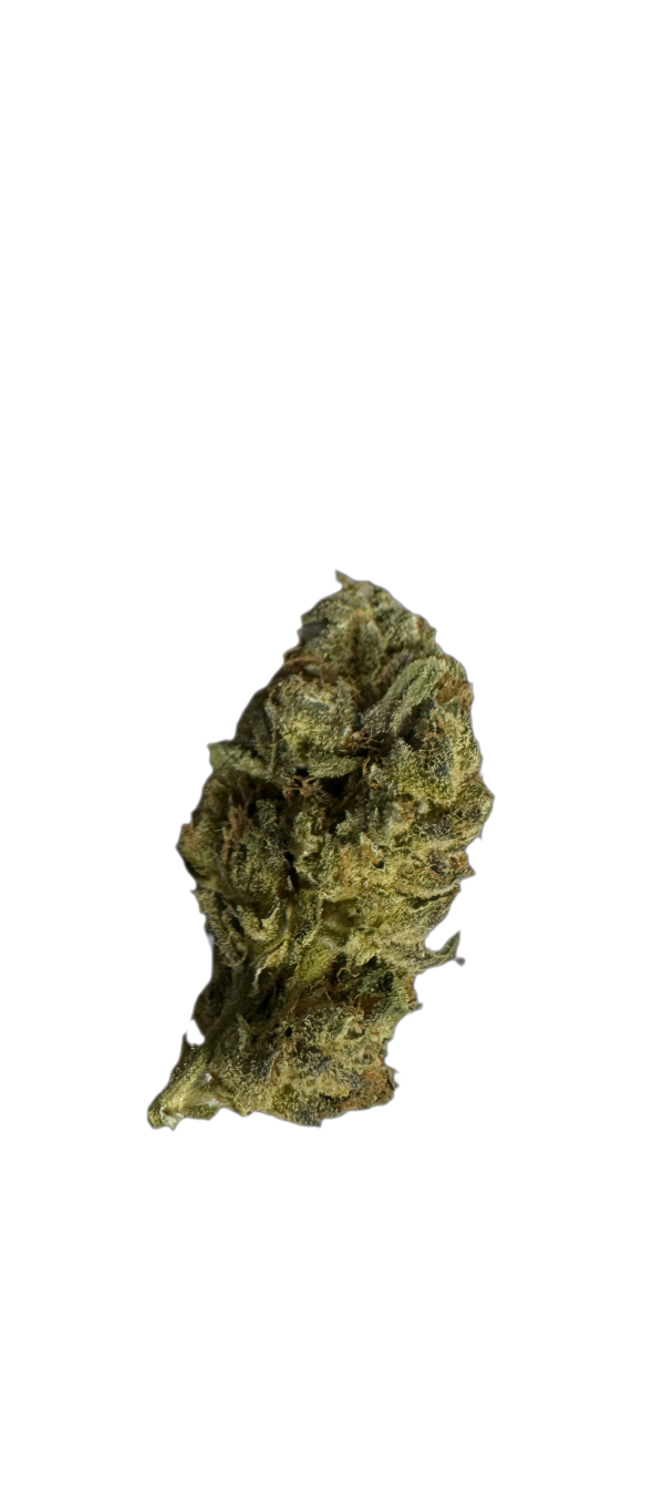 enua 25/1 CDG CA Crispy Doughnut