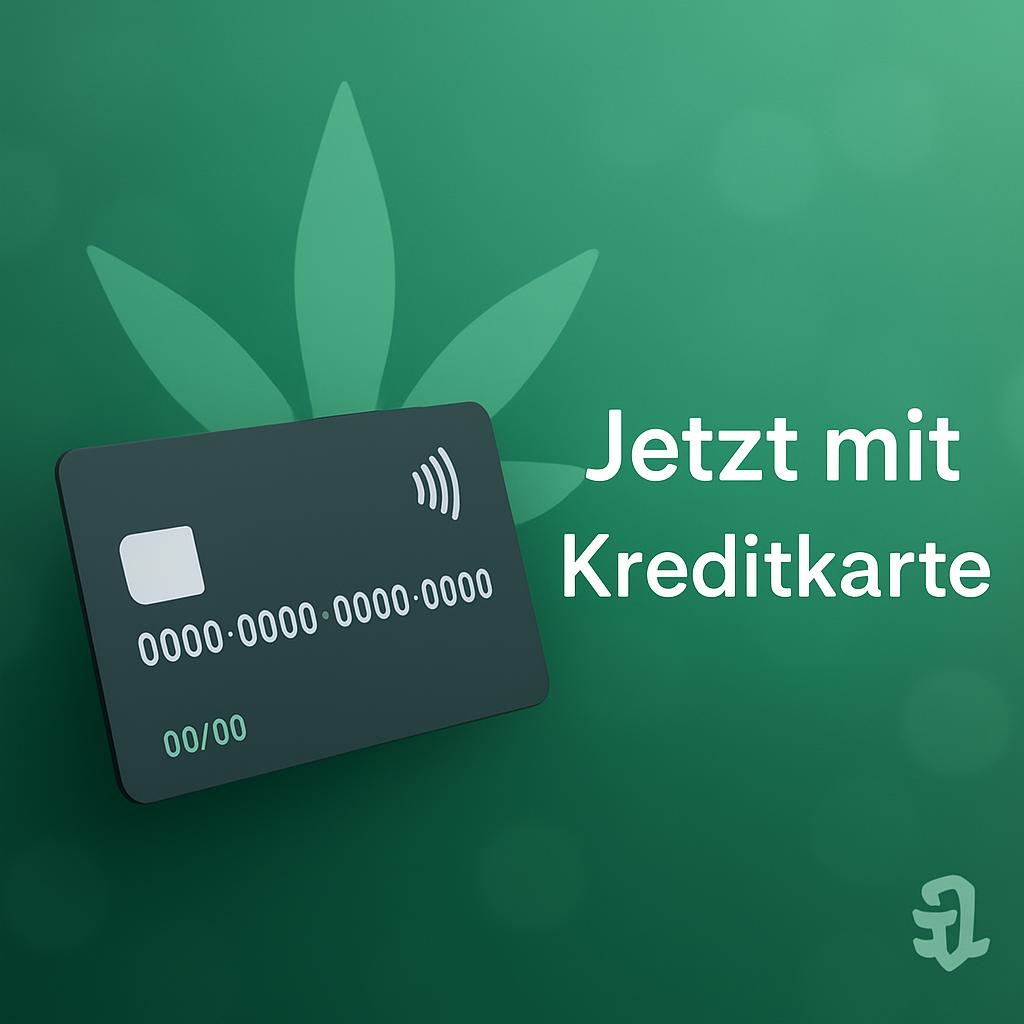 Kredikarten Zahlungen