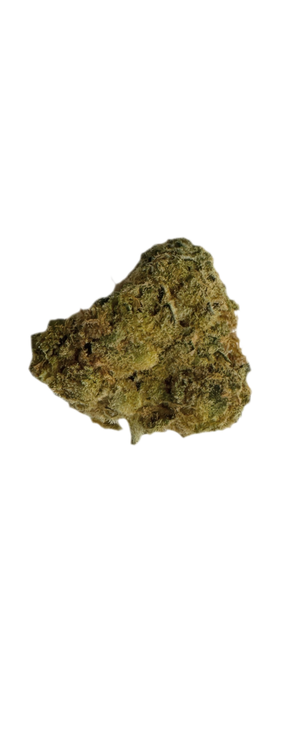 Origine Nature MED 32/1 Medellin