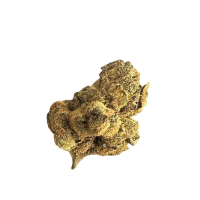 MH MEDPLANT Wedding Cake 15/1