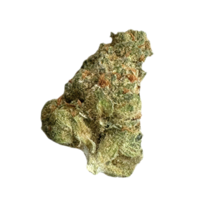 Medical Saints 27/1 LEM Lemonatti