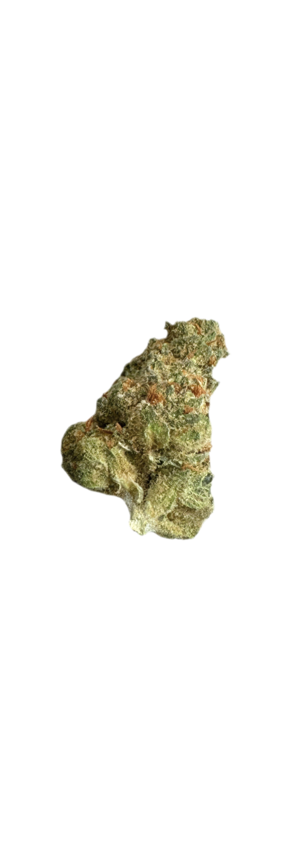 Medical Saints 27/1 LEM Lemonatti