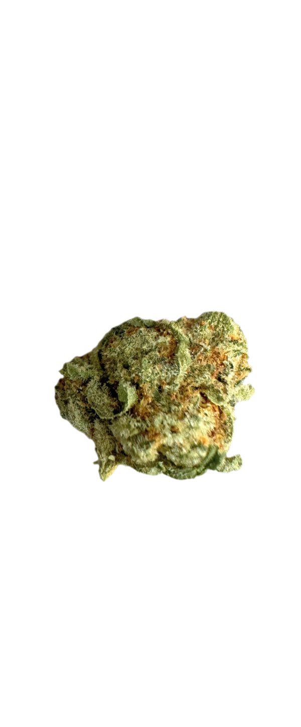 Zoiks 22/1 SLD Sun Lemon Diesel