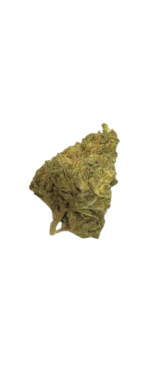Canify Cannabis flos 8/9 LS KU. Basotho Even