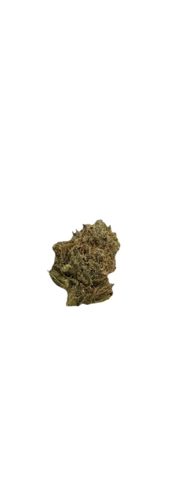 30/1 Amici SLH Super Silver Haze