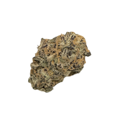 avaay SIGNATURE 23/1 BYY Blueberry Yum Yum