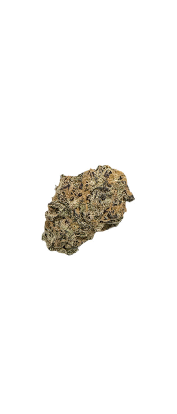 avaay SIGNATURE 23/1 BYY Blueberry Yum Yum