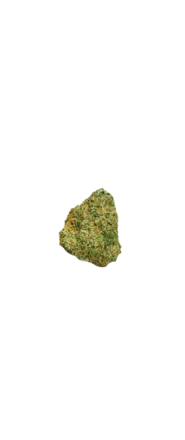 Slouu 22/1 AGM CA SBH Strawberry Haze