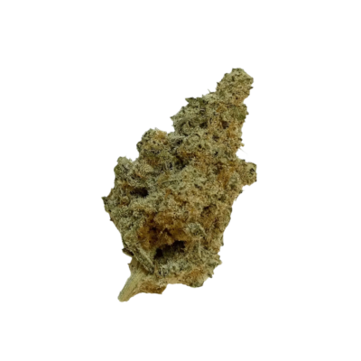 Irregular fragment of coral with a textured porous surface on a black background