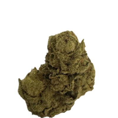 Close up of a brown green cannabis bud on a black background showing dense hairy trichomes