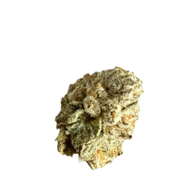 Close up of a dried cannabis bud with dense frosted trichomes and orange hairs