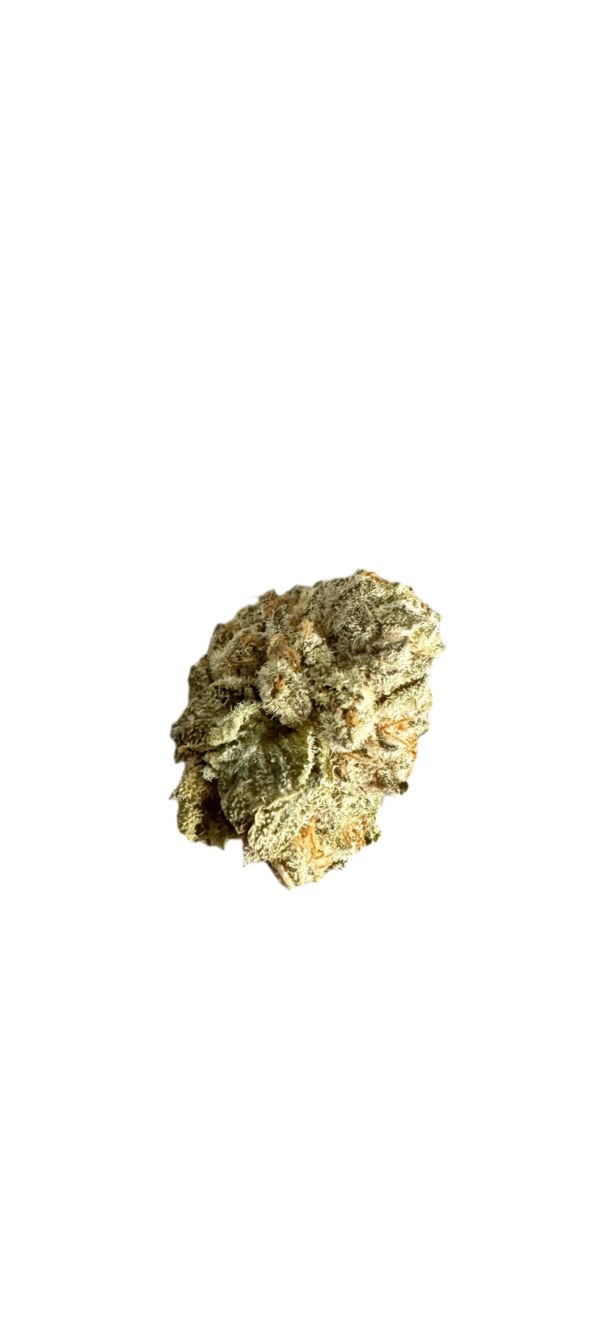 Slouu 22/1 Bag Ca Berry Artic Gelato