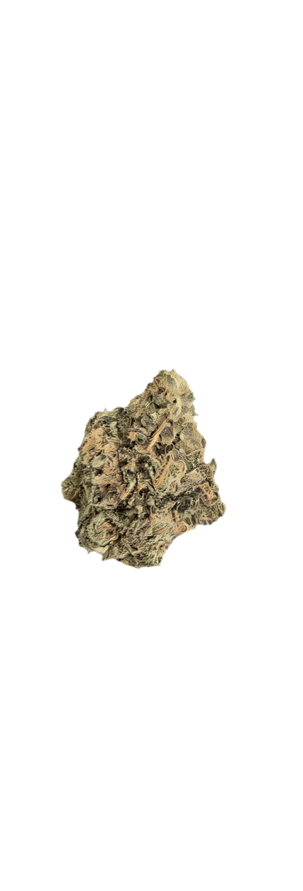 Buuo 22/1 WHG White Gelato