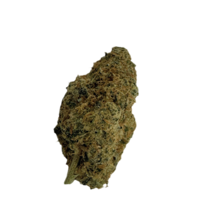 Close up of a cannabis bud with frosty trichomes orange pistils and green leaves on a black background