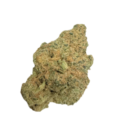 Close up of a cannabis bud with green fuzzy crystals and orange hairs on a white background
