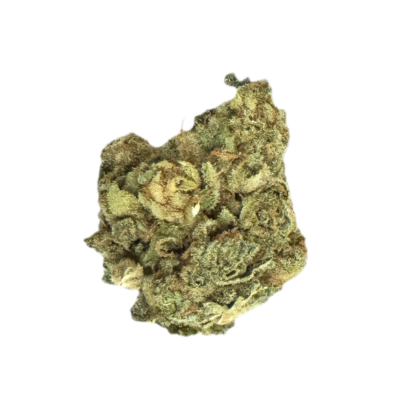 Dried cannabis bud with green and orange hues on a black background close up view