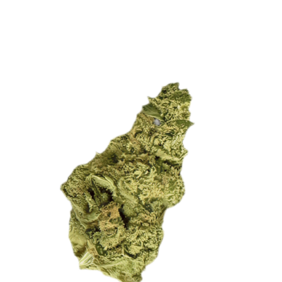 A close up of a green cannabis bud with visible trichomes on a black background