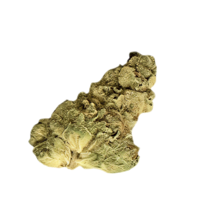 Dried cannabis bud on a black background showing greenish brown crystals and dense leafy structure