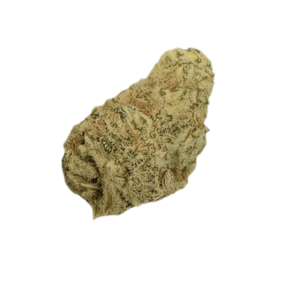 Dried cannabis bud with green and orange hairs textured surface isolated on black background