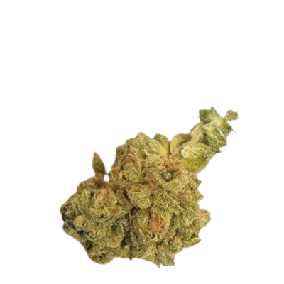 Close up of a cannabis bud with green and orange hairs covered in frosty trichomes against a black background