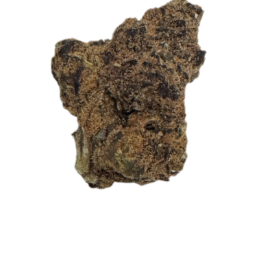 Rough, textured brown rock with an irregular shape on a black background