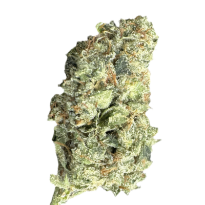 Dense cannabis bud covered in white trichomes with orange pistils on a dark background