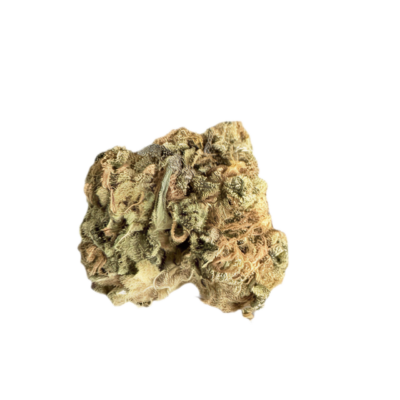 Dried cannabis bud on a black background with orange hairs and trichomes visible