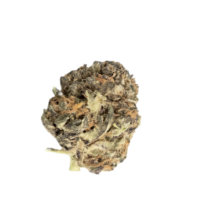 Dried cannabis bud with dense green and orange hairs on a dark background, close-up view.