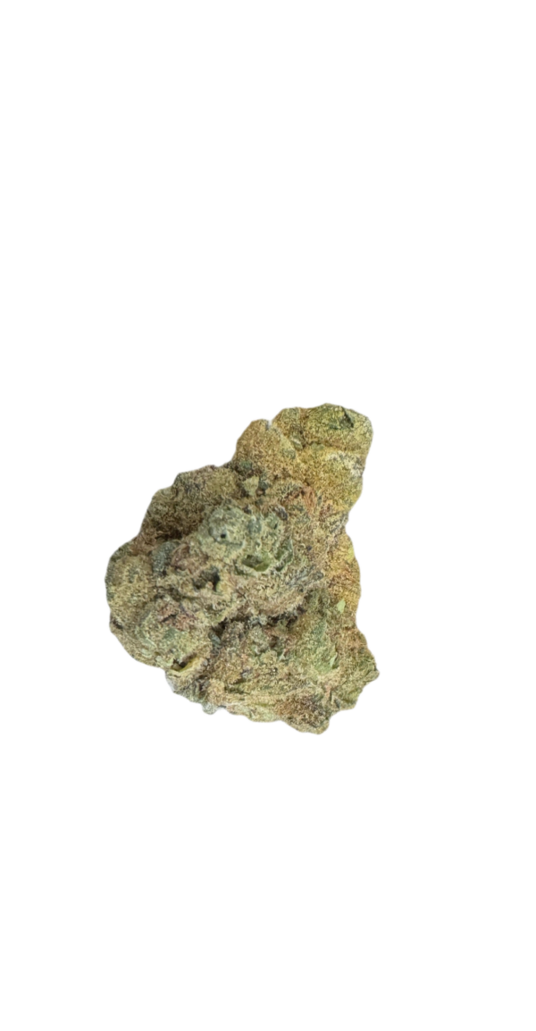 Apollo 33/1 EUF Delicata Cookies