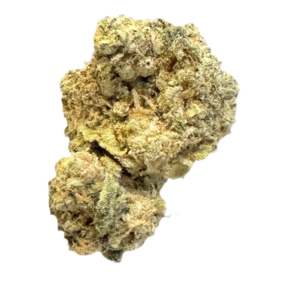 Close-up of a dried cannabis bud on a black background, showing greenish-yellow tones and frosty trichomes.