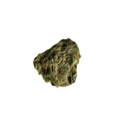 Small irregular rock fragment with green brown mottling on a black background