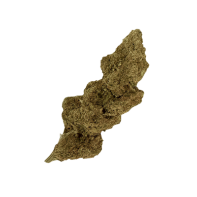 Close up of a dried brown plant bud on a black background textured and irregular in shape