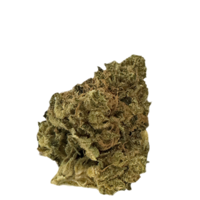 Close up of a green cannabis bud with frosty trichomes and orange pistils on a black background