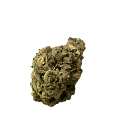 Close up of a dried cannabis bud with dense green leaves and orange pistils on a black background