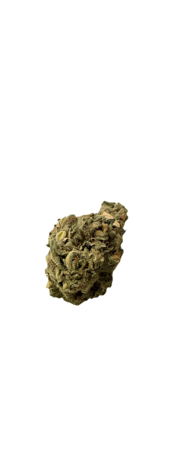 IMC Mids TC 27/1 Tropic Candy